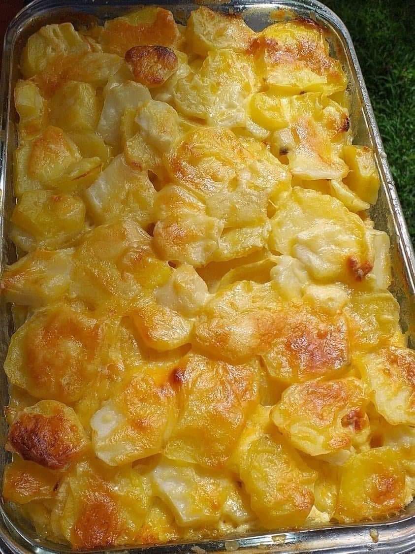 SCALLOPED POTATOES